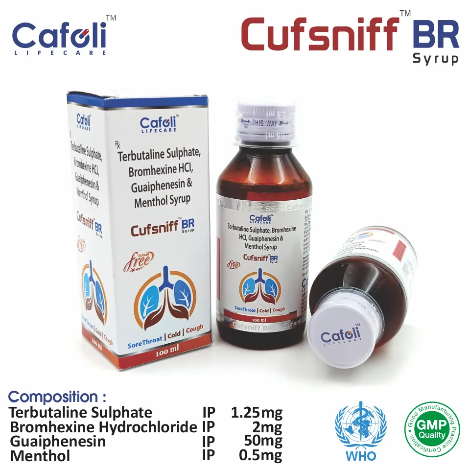 Terbutaline Sulphate 1.25mg + Bromhexine HCL 2mg + Guaiphenesin 50mg + Menthol 0.5mg Syrup at Best Price in PCD Medical Pharma for Cough & Respiratory Relief